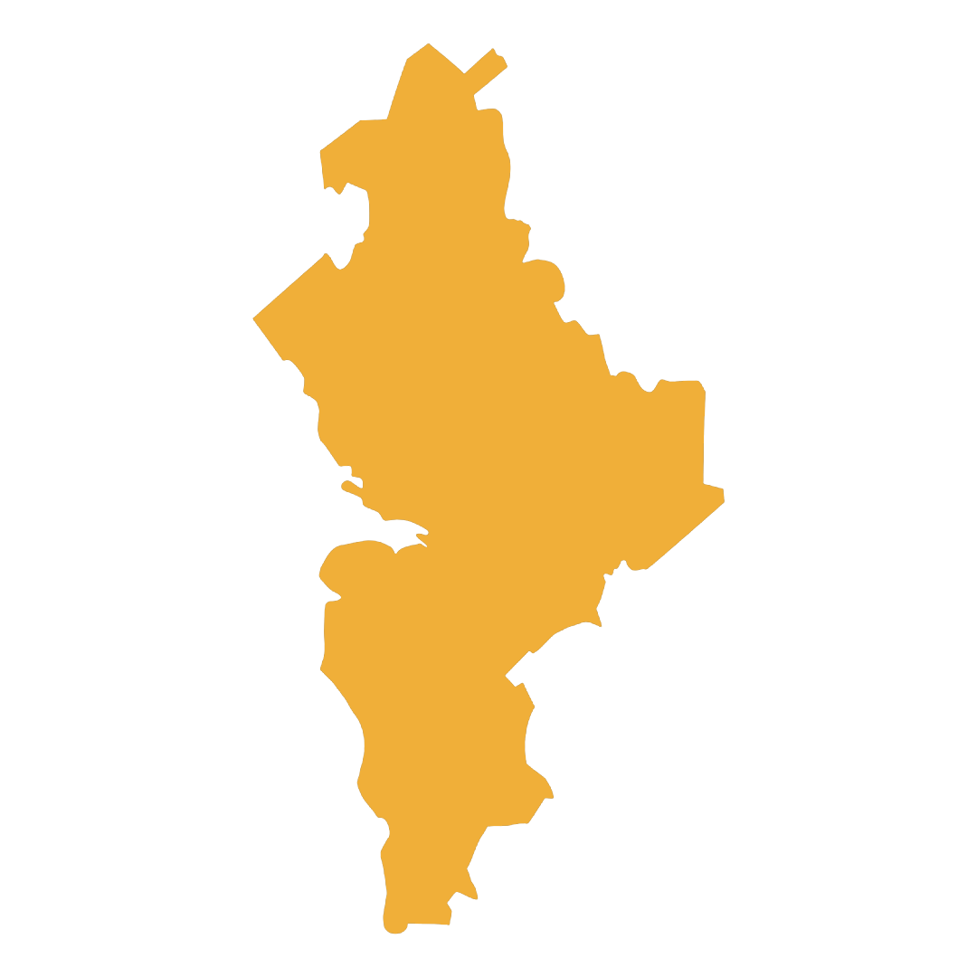 Mapa de Nuevo León